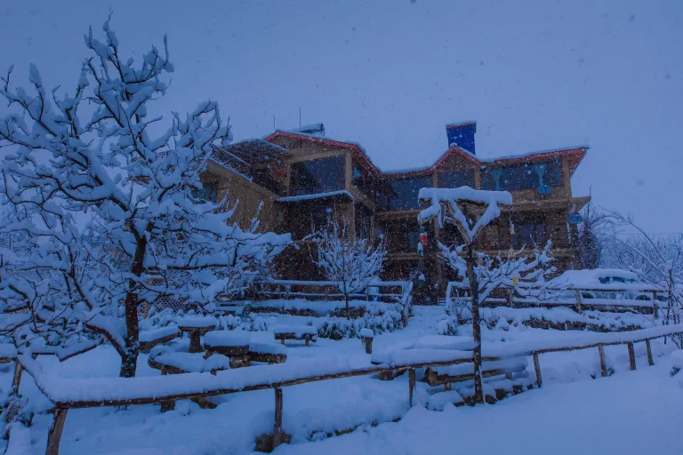 Ride INN – Manali Architectural & Lifestyle